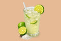 Nimbu Paani (Salty) — HealthyBite Co., Kestopur