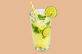 Nimbu Paani (Sweet) — HealthyBite Co., Kestopur